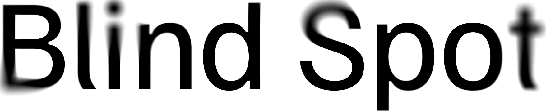 Blind Spot Logo